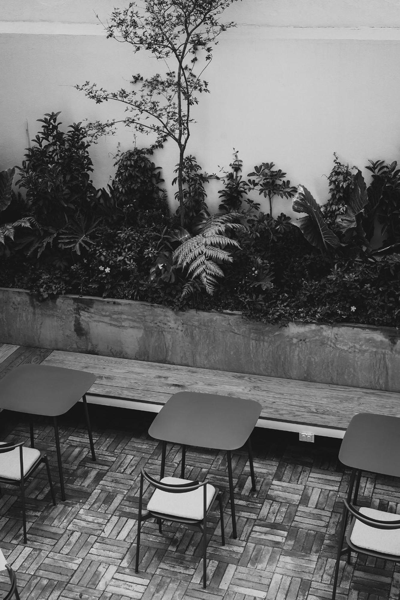 Hotel Casa Cuenca México DF Exterior foto